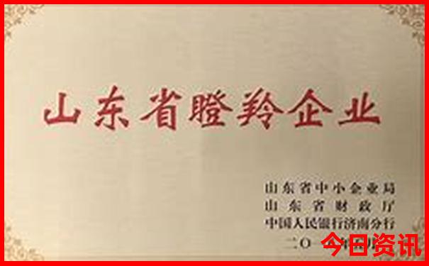 七月凉快的旅游城市
